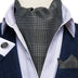 British Style Luxury Men Vintage Paisley Formal Cravat Tie 
