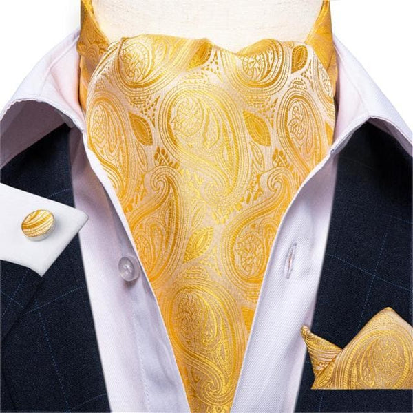 British Style Luxury Men Vintage Paisley Formal Cravat Tie 