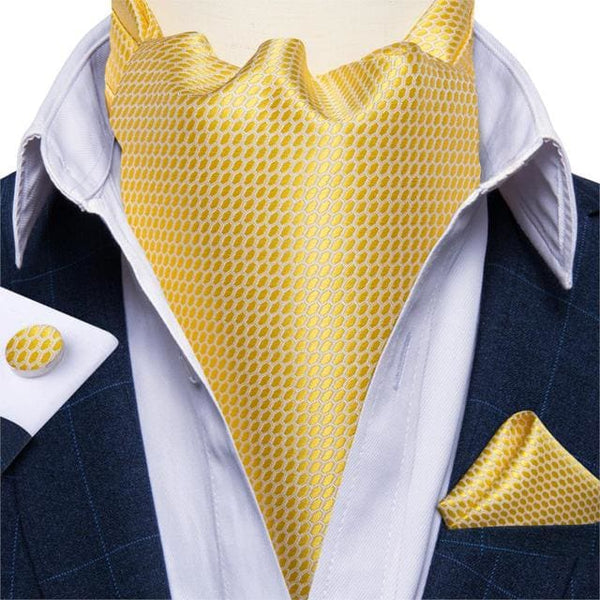 British Style Luxury Men Vintage Paisley Formal Cravat Tie 