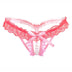 Sexy Lace Transparent Hollow Out Temptation Female Panties -